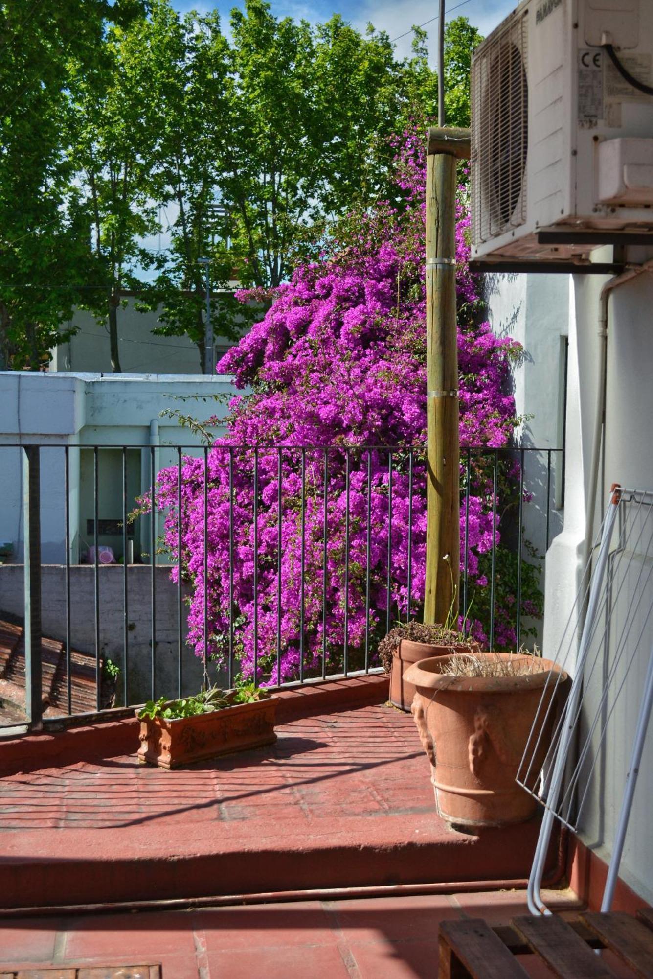 Posada Santa Rita Colonia del Sacramento Ngoại thất bức ảnh